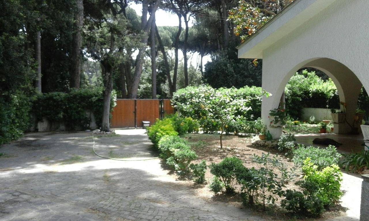 La Casa Di Nataly Bed and Breakfast Fregenae Εξωτερικό φωτογραφία