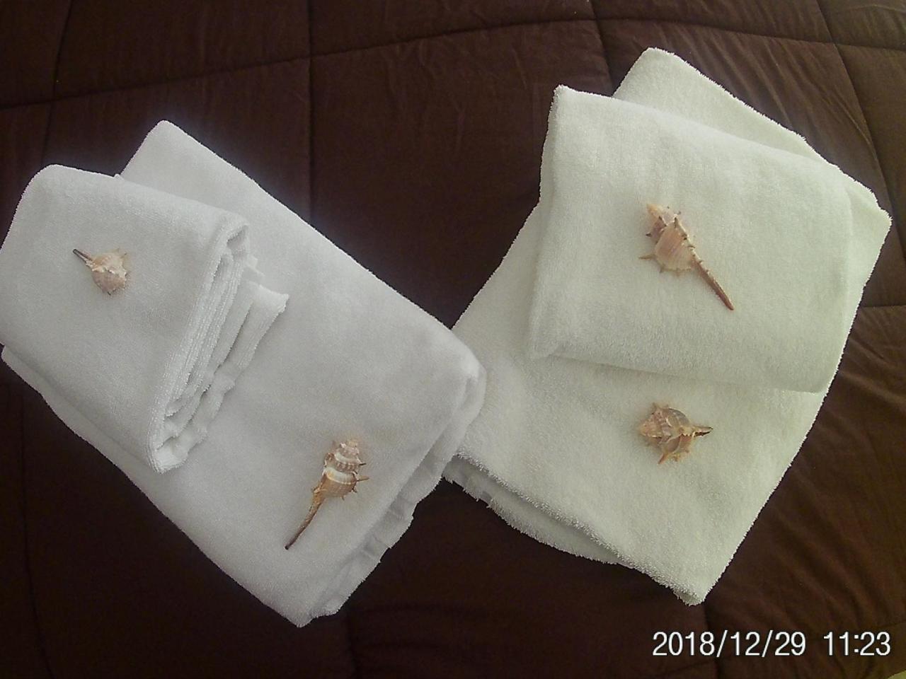 La Casa Di Nataly Bed and Breakfast Fregenae Εξωτερικό φωτογραφία