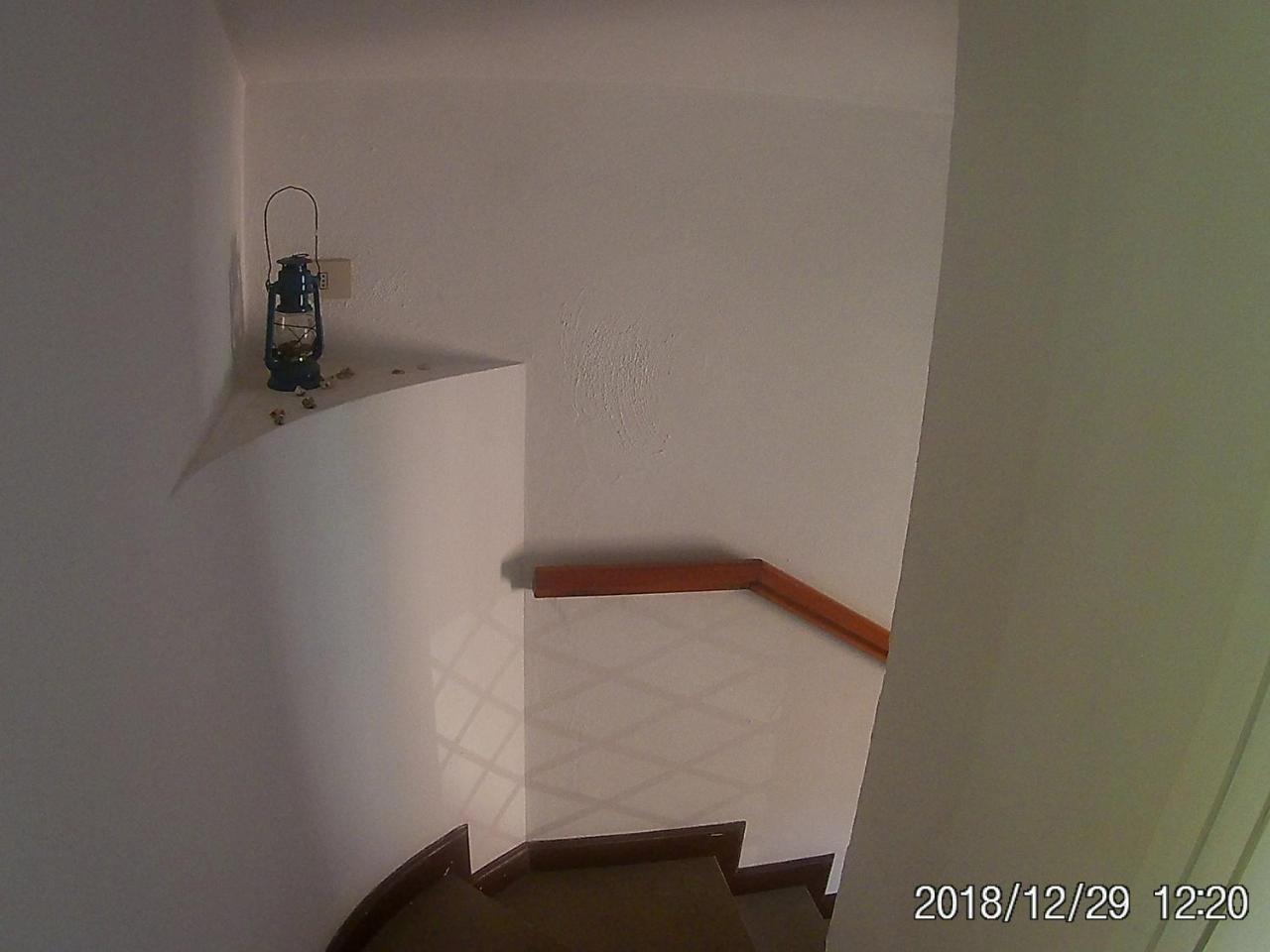 La Casa Di Nataly Bed and Breakfast Fregenae Εξωτερικό φωτογραφία