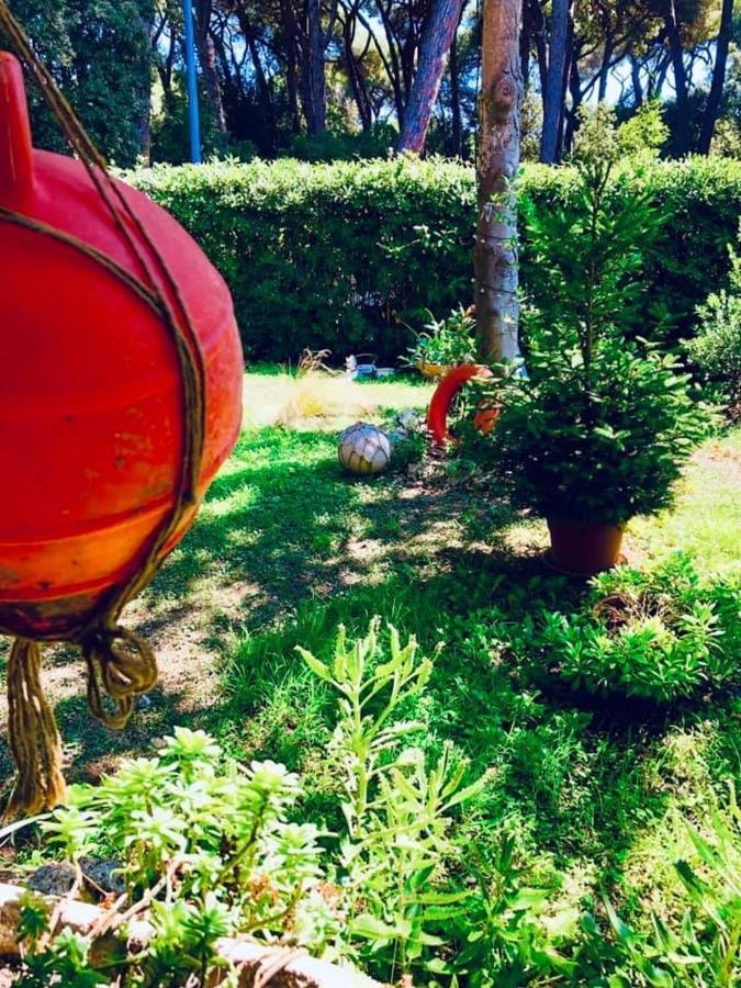 La Casa Di Nataly Bed and Breakfast Fregenae Εξωτερικό φωτογραφία