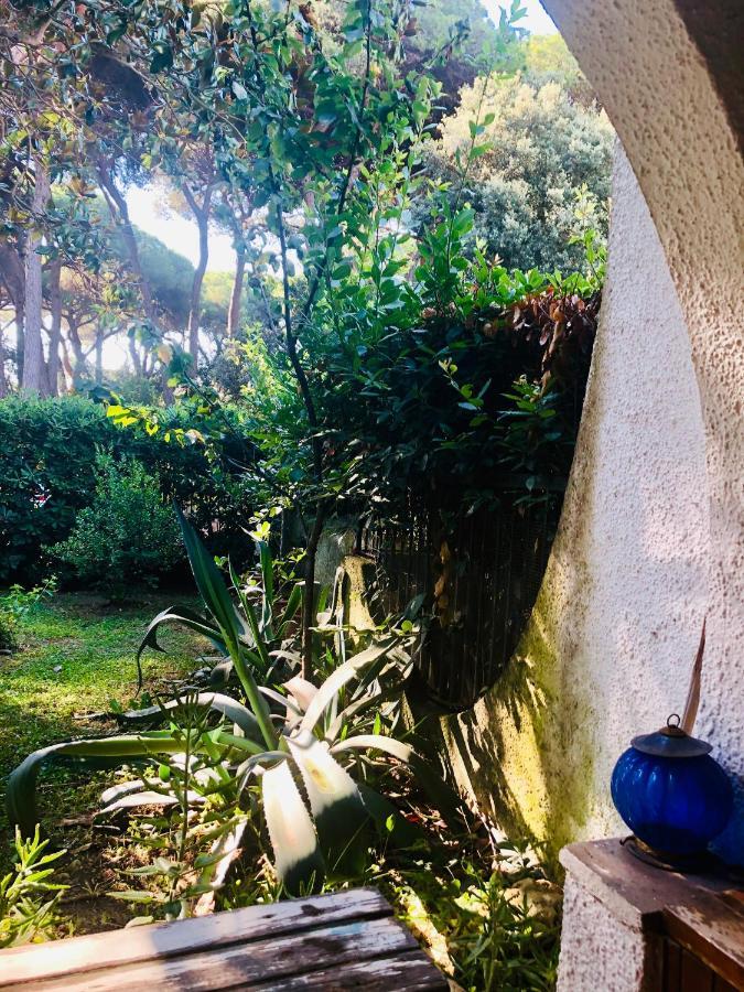 La Casa Di Nataly Bed and Breakfast Fregenae Εξωτερικό φωτογραφία