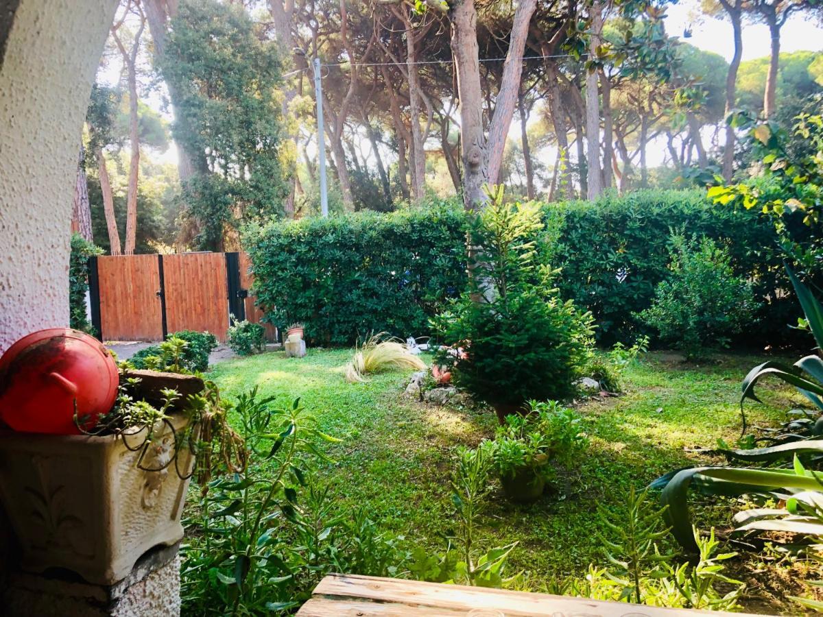 La Casa Di Nataly Bed and Breakfast Fregenae Εξωτερικό φωτογραφία