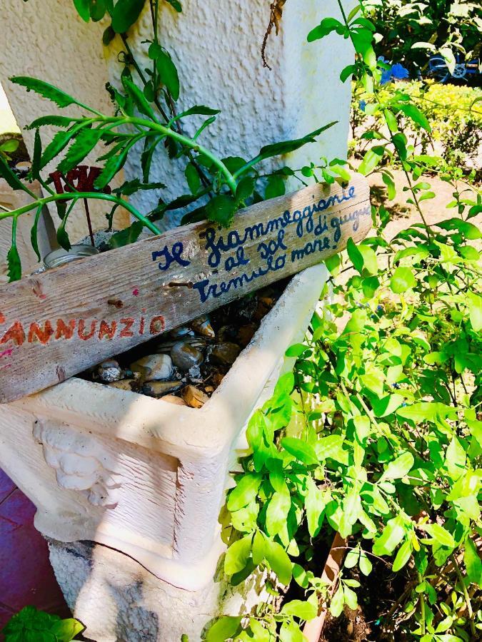 La Casa Di Nataly Bed and Breakfast Fregenae Εξωτερικό φωτογραφία